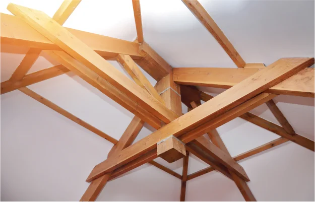 traitement charpente à Romorantin-Lanthenay dans le Loir-et-Cher 41